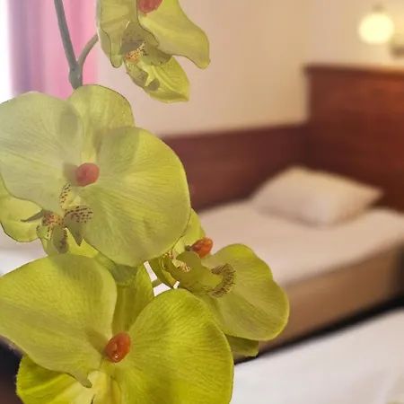 Sanssouci Bed & Breakfast Kudowa-Zdrój